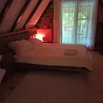 Cozy *