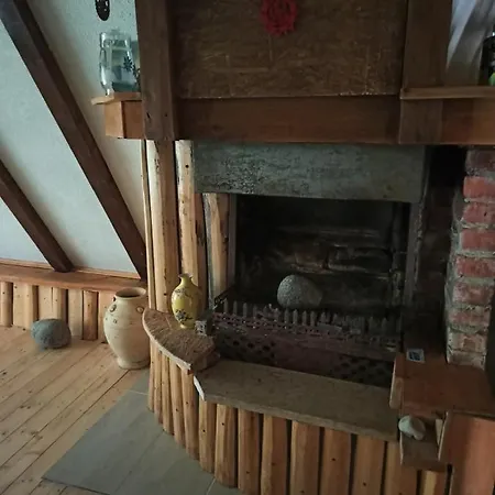 Cozy *