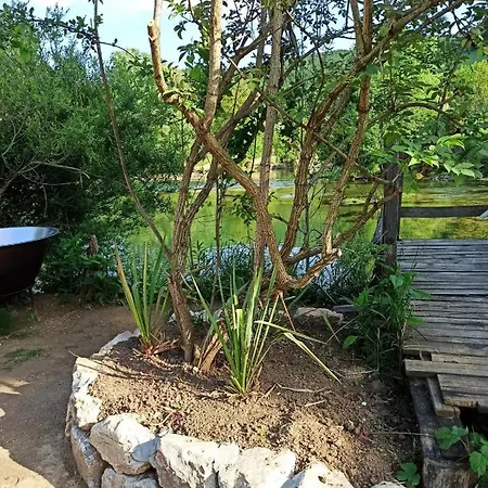 Cozy 펜션