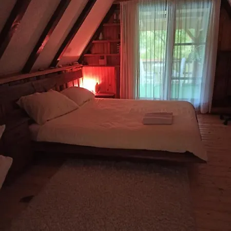 Cozy *